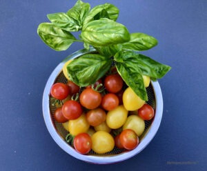 Garden Veggie Spaghetti